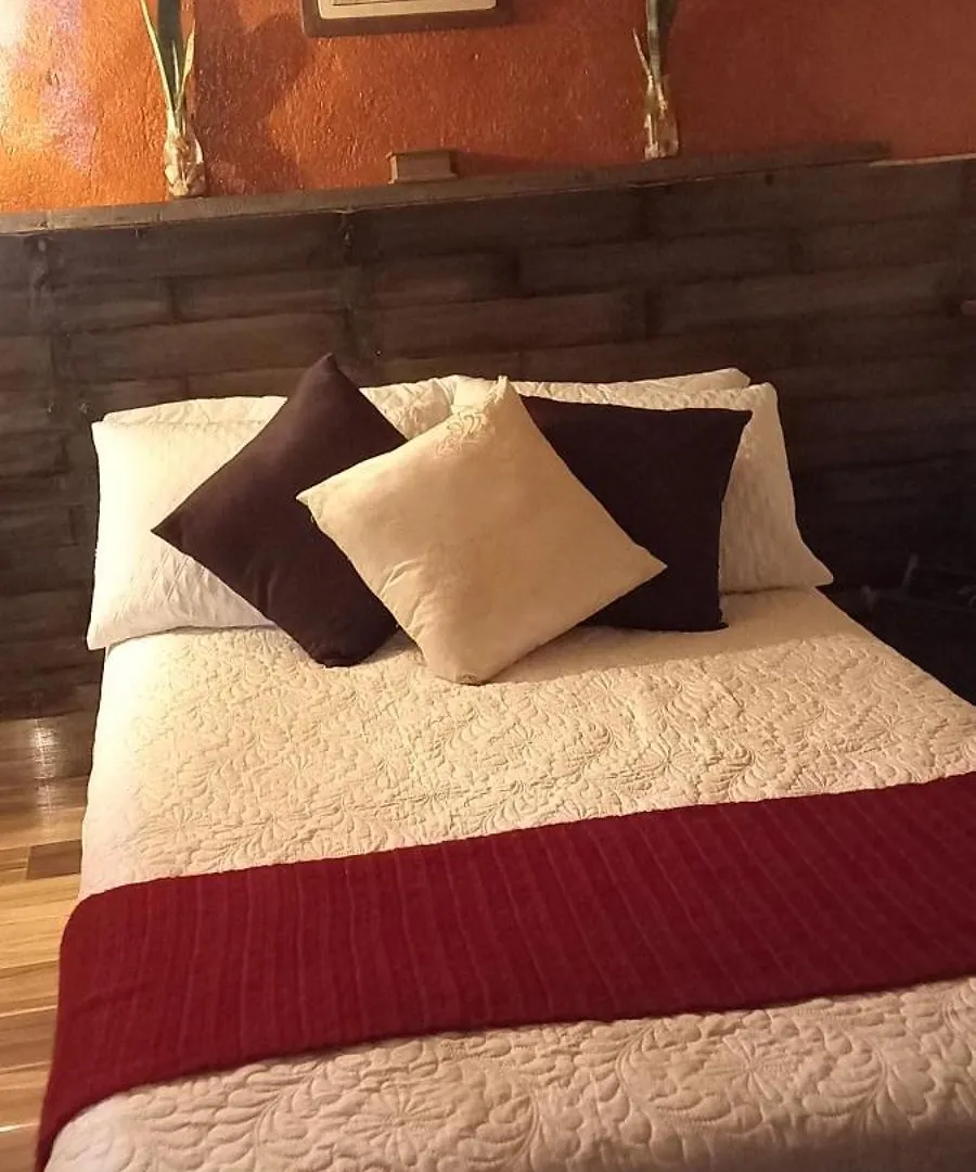 Apartman Boresta House -Santa Elena Con Vista Al Bosque Y Terraza Privada Medellín